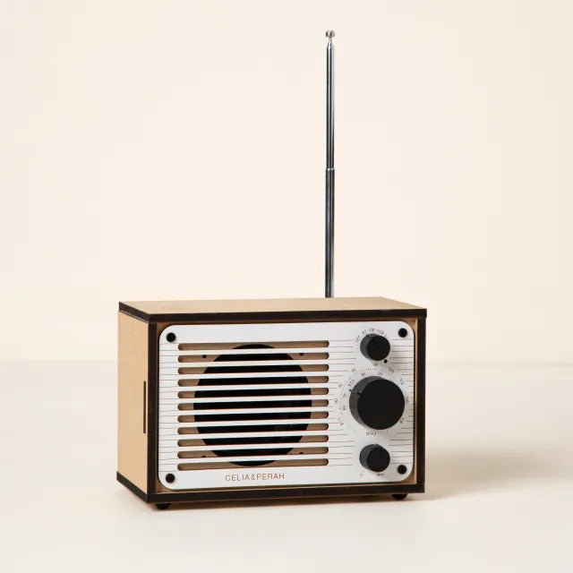 Build Your Own Bluetooth and FM Radio